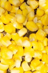 canned corn on a white background vegetable kernels