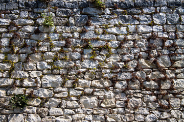 Stone wall decorative coating natural stone