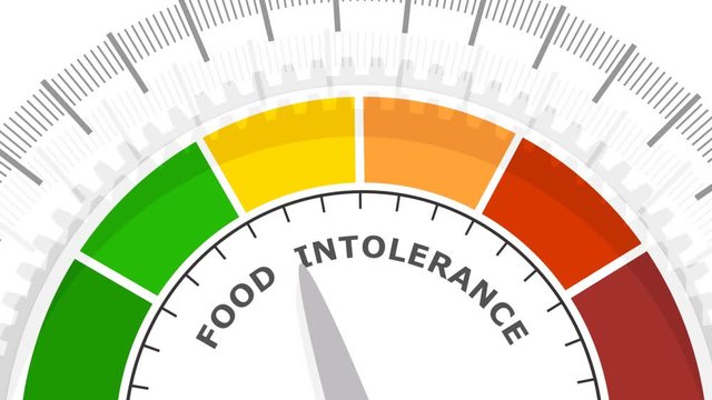 Food intolerance measuring device. Sign tachometer, speedometer, indicators. Infographic gauge element.