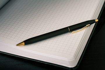 Black and gold mechanical pencil on top of open notebook