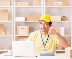 Handsome contractor working in box delivery relocation service