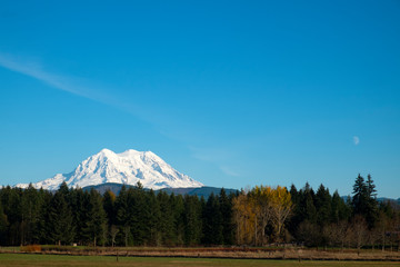 mt rainier in the mountains