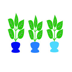 Obraz na płótnie Canvas Indoor plants in blue pots of different shades. Interior. Flat design style