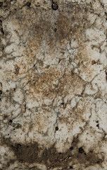 mortar background, cement texture, wall
