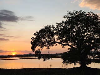 Fototapeta na wymiar Scenic View Of Sunset Over River