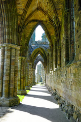 Whitby Abbey, North Yorkshire England.