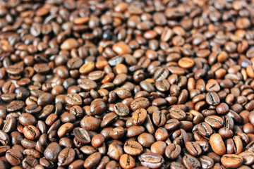 Coffee beans lie in bulk