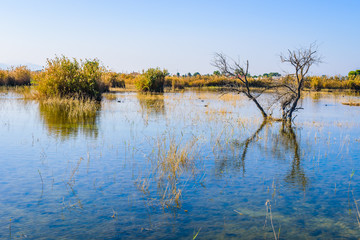 Incredible natural park near the city of Elche. Province of Alicante. Spain
