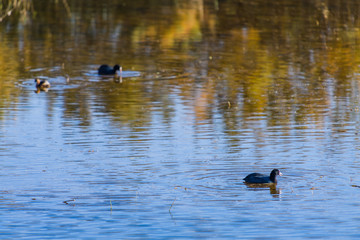 Incredible natural park near the city of Elche. Province of Alicante. Spain