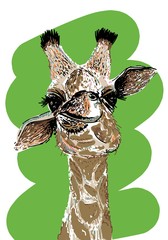 Portrait of a funny giraffe. Vector illustration.