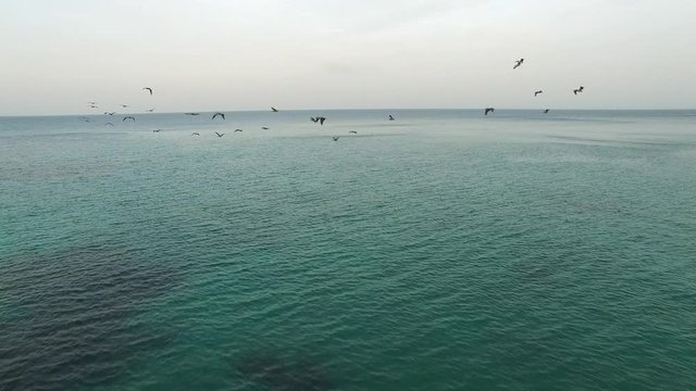 Paddle Boarding Drone Video of Isla Contadora Resort Island Panama