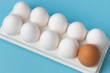 Fresh eggs. Farm organic eggs in a tray on a blue background close-up. Copy space.