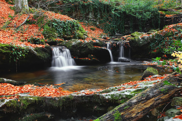 Obraz na płótnie Canvas View Of Waterfall In Forest