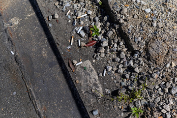 Multiple cigarette butts being dumped in the grass