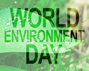 World Environment Day text,  green sprout, transparent background. Ecology, hunger, poorness, need. Team work, sea, plastic pollution, charity, compassion, overpopulation, virus.