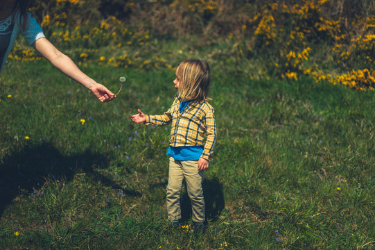 Preschooler being given a flower by his mother in nature