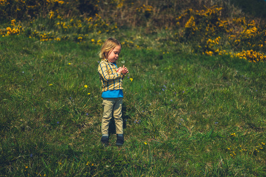 Preschooler holding a flower in nature