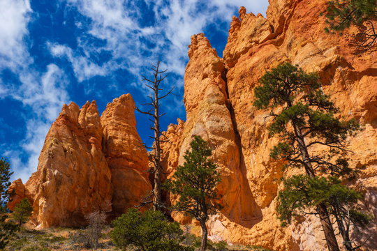 Bryce Canyon Rock