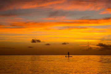 Girl surfer coming back from the ocean by paddle board  against the backdrop of a beautiful sunset in Mauritius