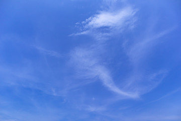 Fototapeta na wymiar Cloud shape looks like a bird on blue sky