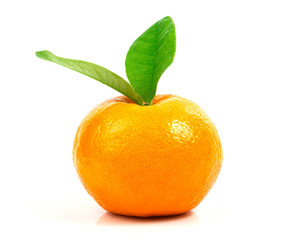 Fresh fruit orange with leaves on a white background