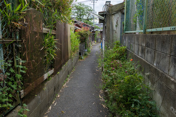Fototapeta na wymiar The Road Across Japan's Lonely Home