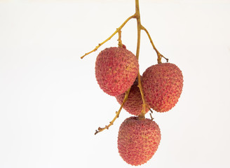 Four lychee fruits stick to the stalk on white background