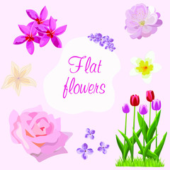 
Vector set of colorful flowers in a flat style, there is an inscription "Flat flowers". Suitable as elements for the design of vector illustrations and scrapbooking.