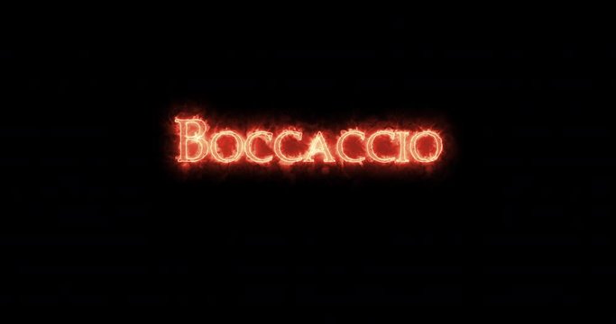Boccaccio written with fire. Loop