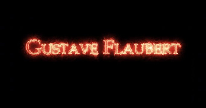 Gustave Flaubert written with fire. Loop