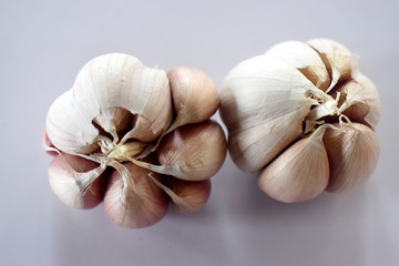 A couple of Garlic isolate on white background