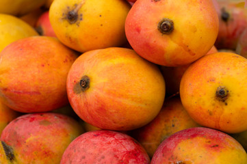Mangos, juicy stone fruits (drupe), produced from flowering plant genus Mangifera, are on display for sale. Favourite food of Bengalis, being sold at New Market area, Kolkata, West Bengal, India.