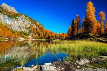 Federa See mit gelben Lärchen im Hintergrund, Dolomiten, Italien © janoka82