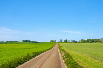 Fototapeta na wymiar Long straight dirt road in a rural landscape in the summer