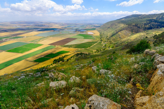 Landscape of the Jezreel Valley from Mount Gilboa