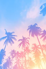 Fototapeten Kopieren Sie den Raum der tropischen Palme mit Sonnenlicht auf Himmelshintergrund. © tonktiti