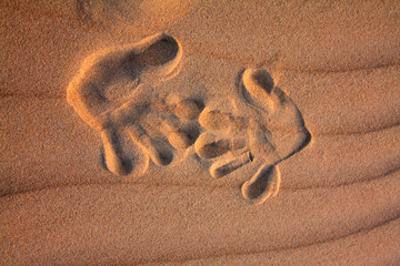 footprint on sand