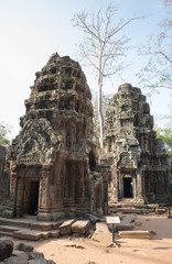 Ta Prohm temple. Cambodia.