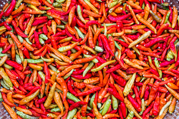 Fototapeta premium red hot chili pepper