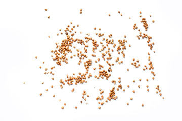 A scattering of buckwheat on a white background.