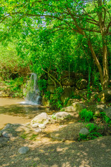 Travertine falls in the Snir Stream (Hasbani River) Nature Reserve
