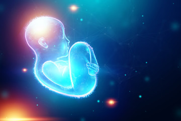 Obraz premium Infant, a child in a fetal position, an embryo, a hologram on a dark background. Pregnancy concept, artificial insemination, copy space. 3D illustration, 3D rendering.