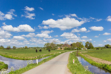 Fototapeta na wymiar Narrow country road leading to the small village of Dorkwerd near Groningen, Netherlands