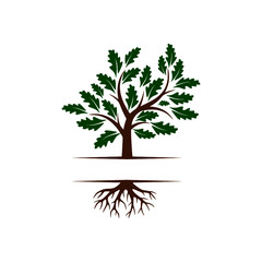 Tree with roots logo Isolated on white background