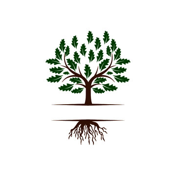 Tree with roots logo Isolated on white background