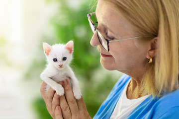 Woman playing with kitten. Cat and owner.