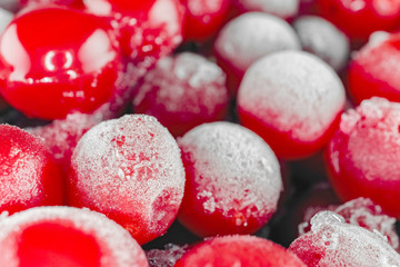 red viburnum berries frozen for the entire frame macro
