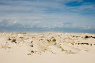 scenic view over white beach