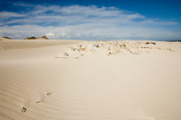 sand dunes and blue sky at cape of good hope