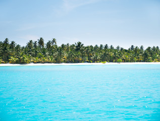 Beautiful Tropical Maldives Island with Palm Trees and Beach with White Sand.